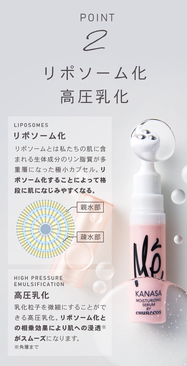 ポイント2　リポソーム化・高圧乳化