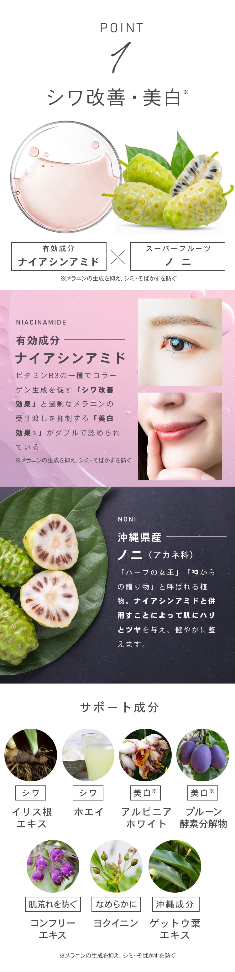 ポイント1　シワ改善・美白有効成分ナイアシンアミド、沖縄県産ノニ（アカネ科）、サポート成分